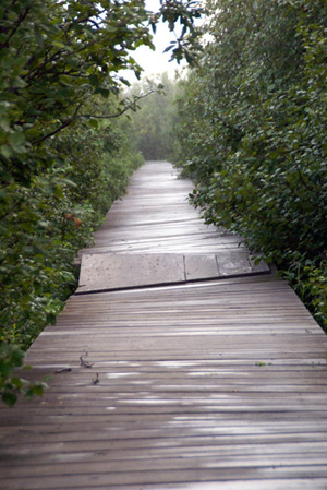 emmonak's boardwalk